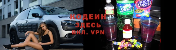 дурь Краснослободск