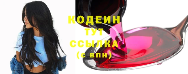 дурь Краснослободск