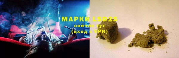 дурь Краснослободск