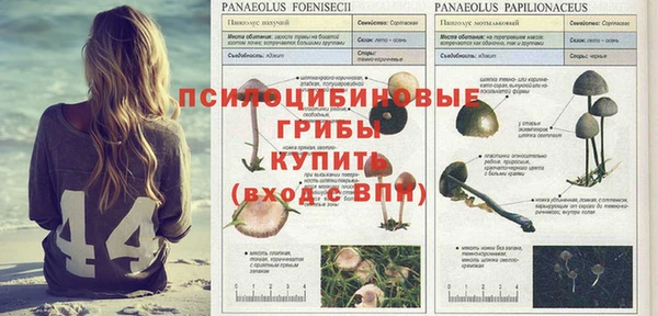 синтетический гашиш Краснотурьинск