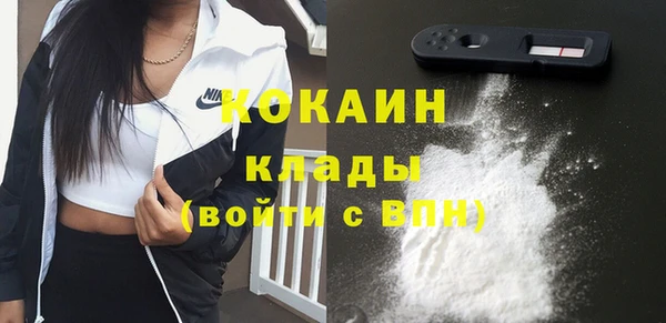 дурь Краснослободск