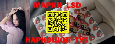 индика Донецк