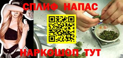 индика Донецк