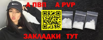 спиды Донской