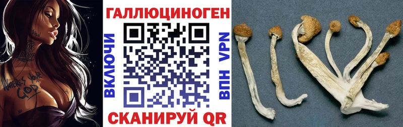 дарк нет формула  OMG вход  Урай  Галлюциногенные грибы мухоморы 