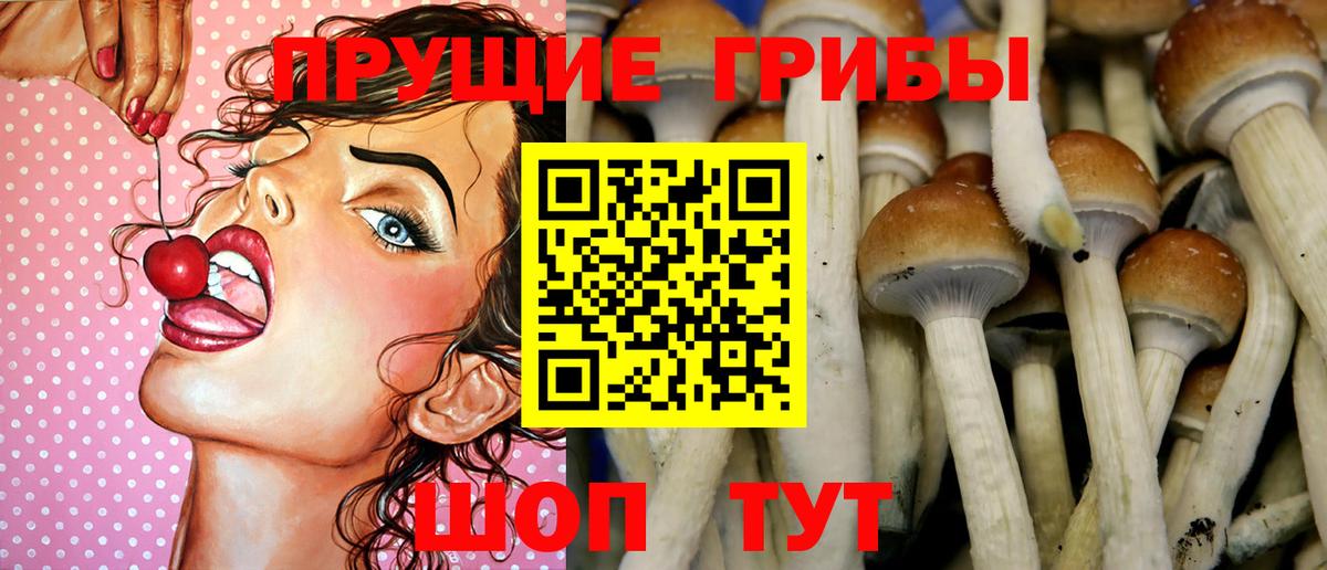 Галлюциногенные грибы мицелий  Урай 